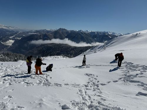 IMG-20250318-WA0006_500