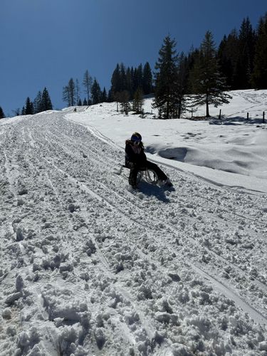 IMG-20250319-WA0003_500