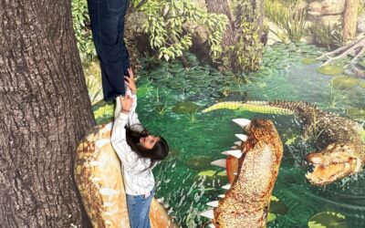 Die 3. Klassen zu Besuch im 3D Pic Art Museum Wien