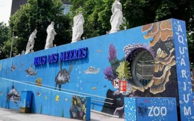 IBF – Haus des Meeres