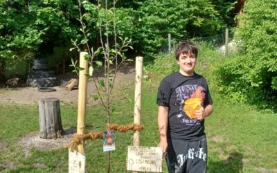 Neue Bäume für den Schulgarten
