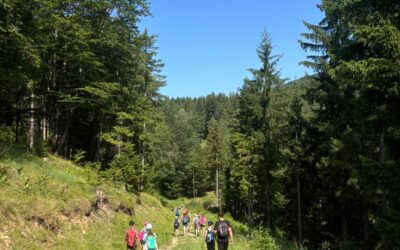 Viele spannende Ausflüge bei schönstem Wetter